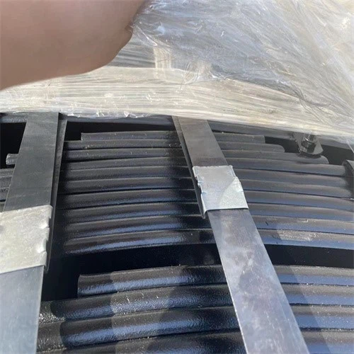 p20240123174959f9e02 p20240123174959f9e02